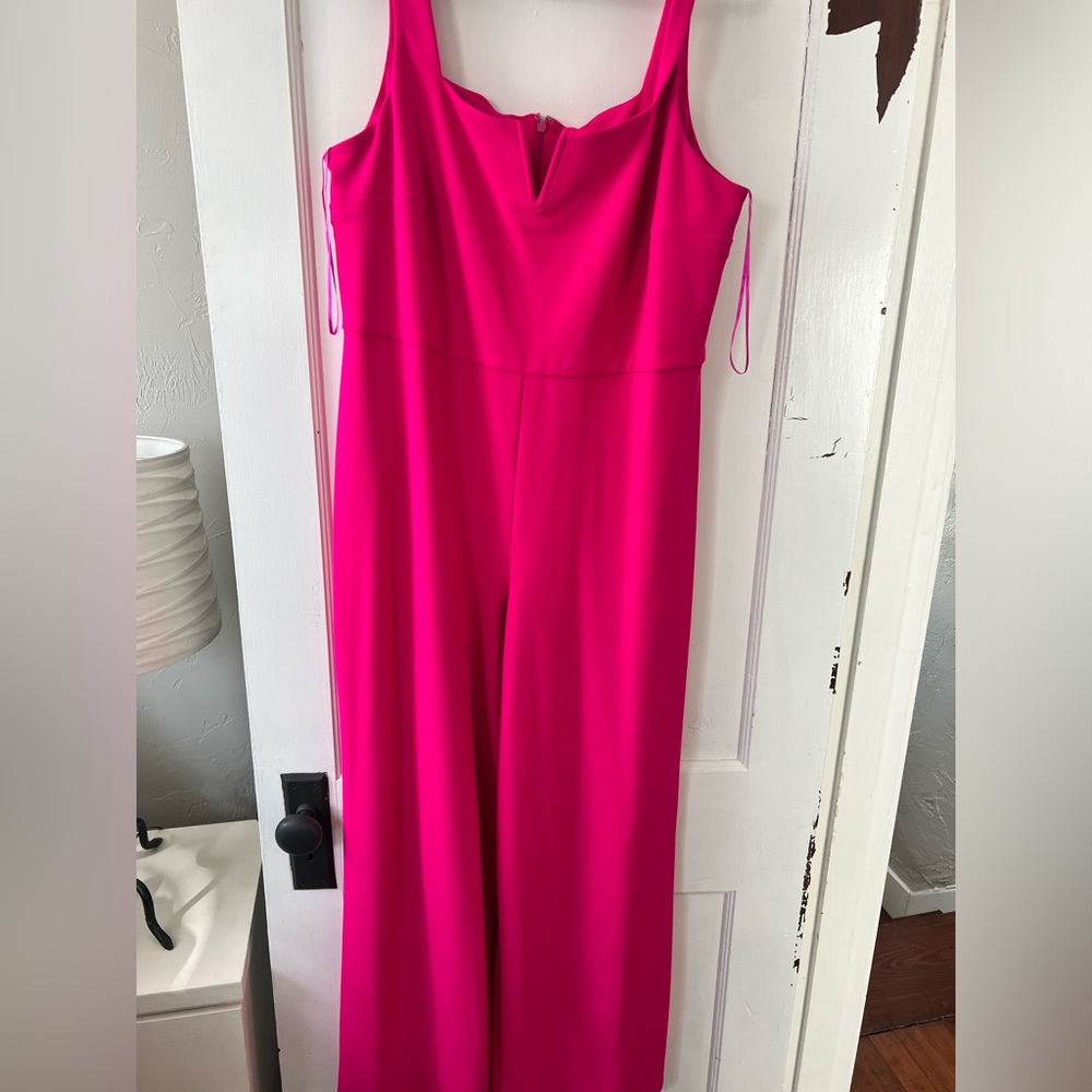 Express Hot Pink Wide-Leg Jumpsuit